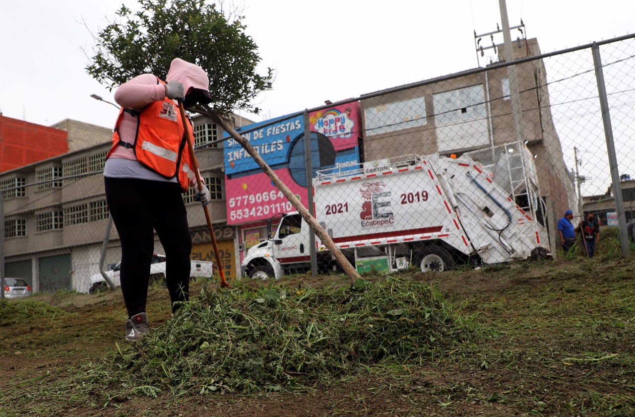 Retiran Cerca De Mil Toneladas Basura Y Hierba De Camellones En