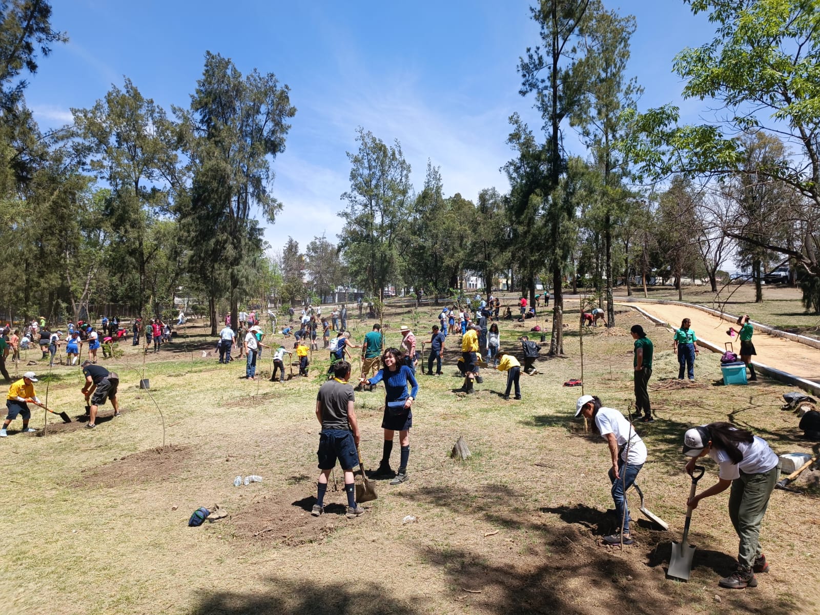 Talan Rboles Muertos Y Con Plaga En El Parque Naucalli Capital