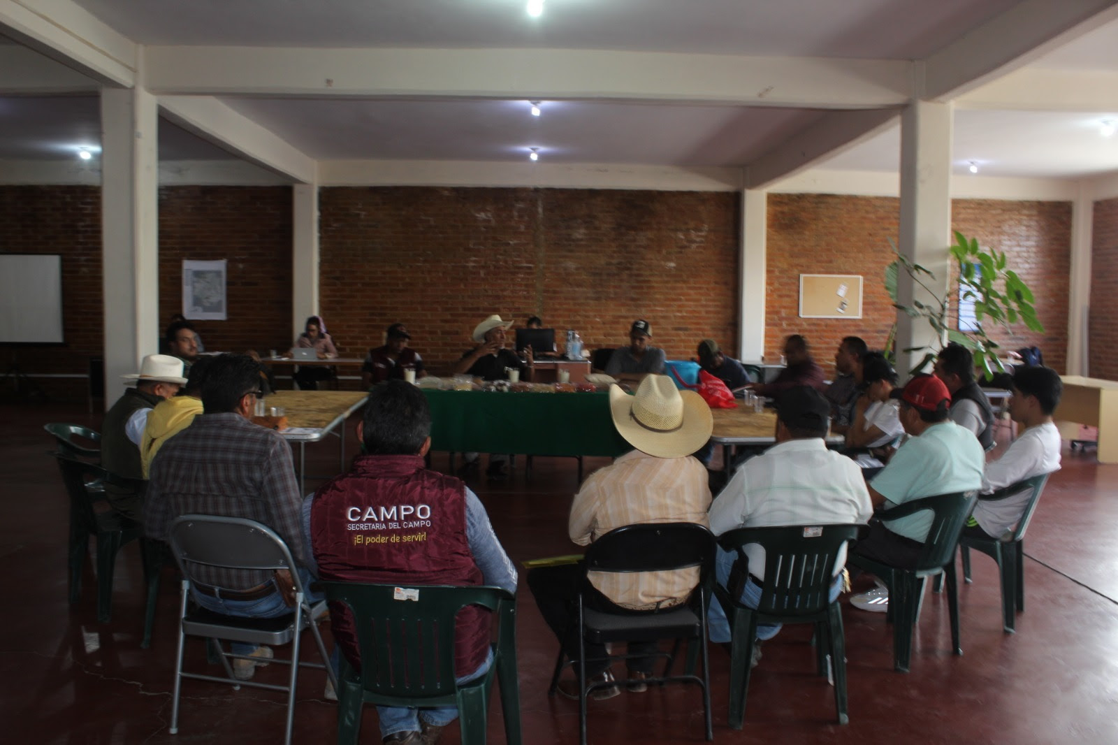 Fortalecen el cultivo de amaranto en la zona oriente del Edoméx