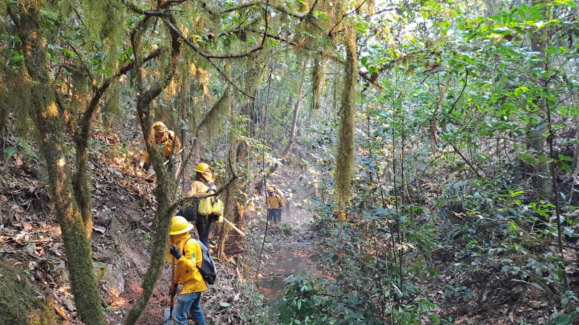 Afectan Incendios Forestales 6 Mil 360 Hectáreas - Capital Estado De México