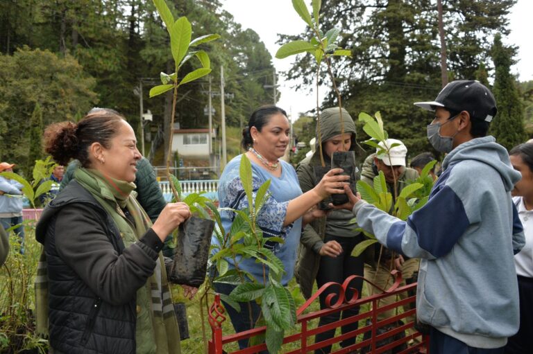 Realiza Reforestación La Secretaría De Medio Ambiente Capital Estado